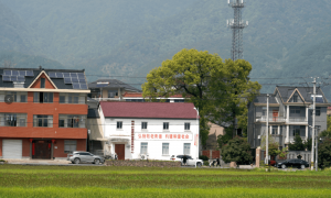 落户在城市的子女，能继承老家的宅基地吗？宅基地常见问题解答